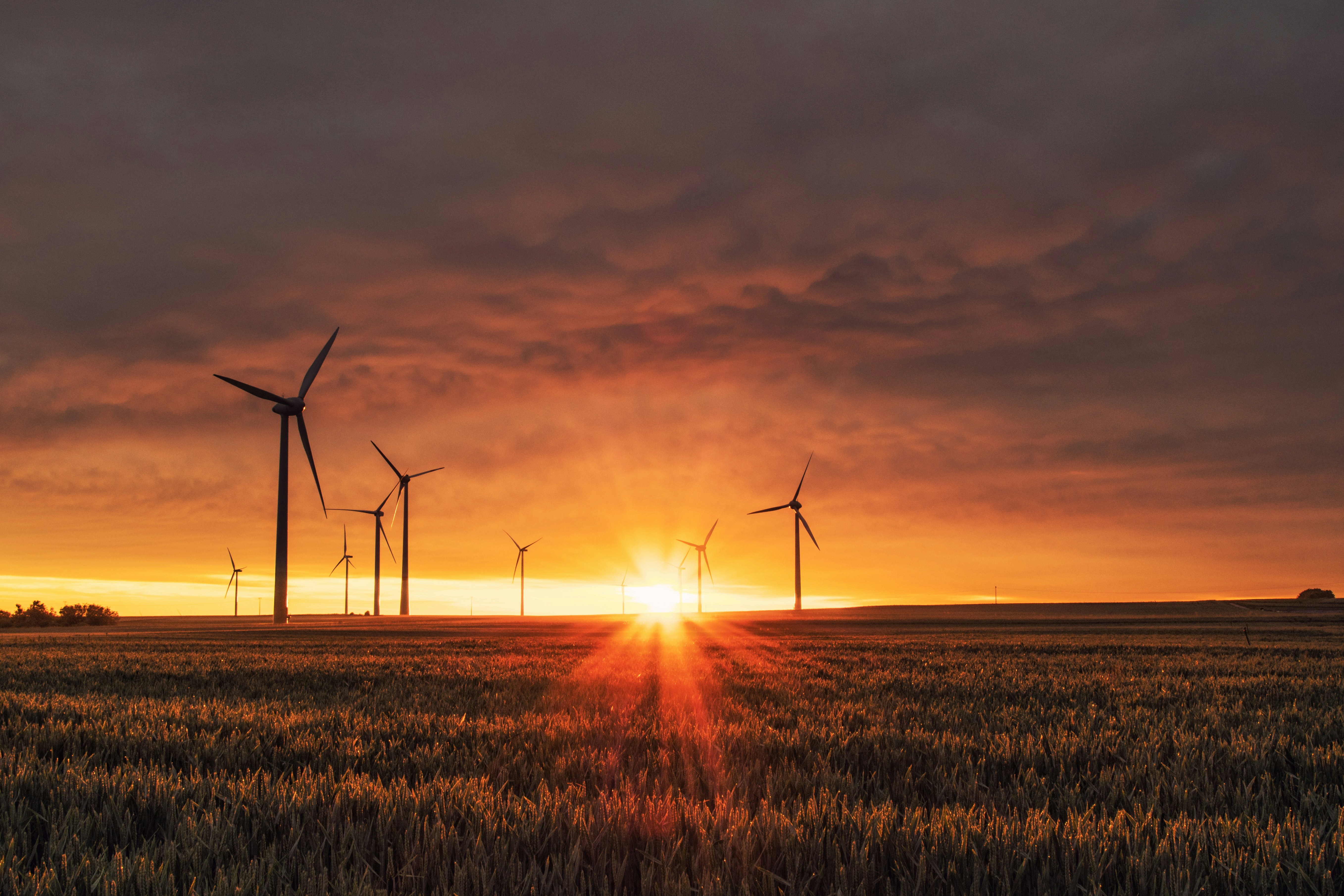 Energia limpa e natureza